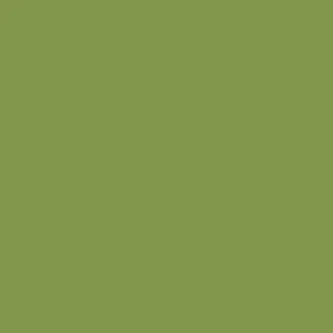 NC MDF VERDE KIWI 18MM 2.60X1.83 PG4